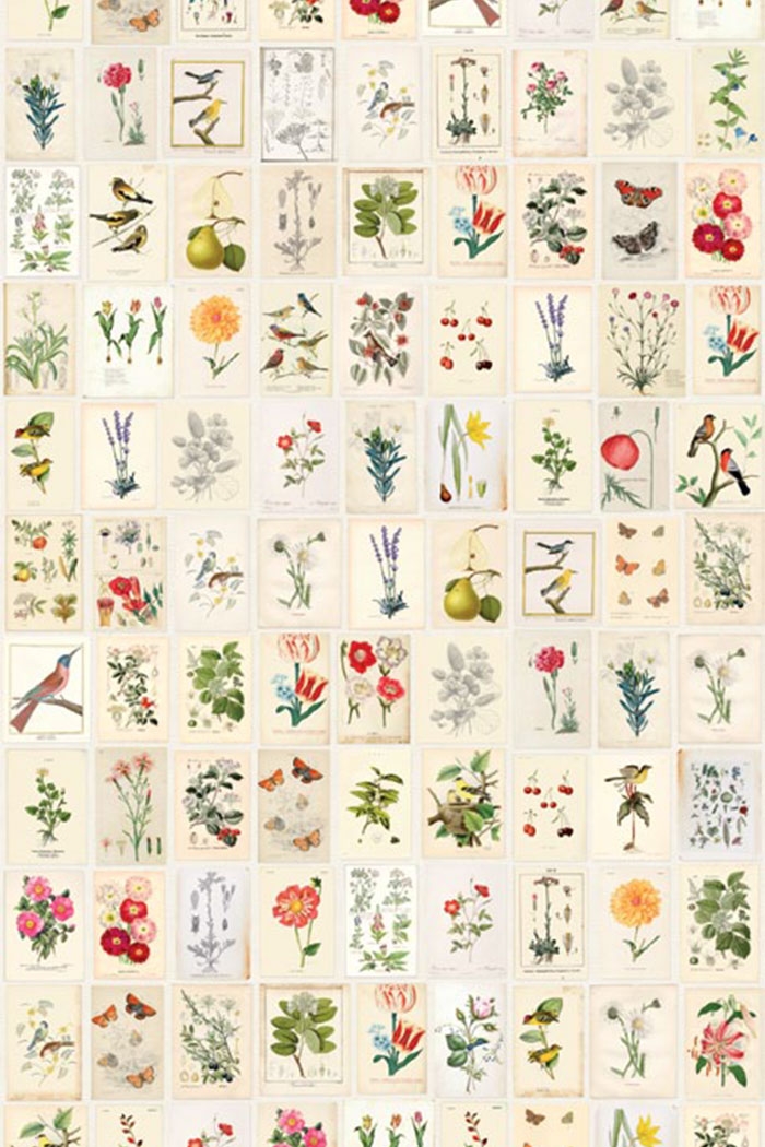 PiP III Behang Eijffinger Botanical Paper Wallpower 341086 1