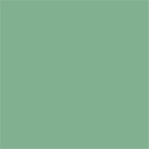 Verf Farrow & Ball Estate Eggshell Arsenic (214) 1