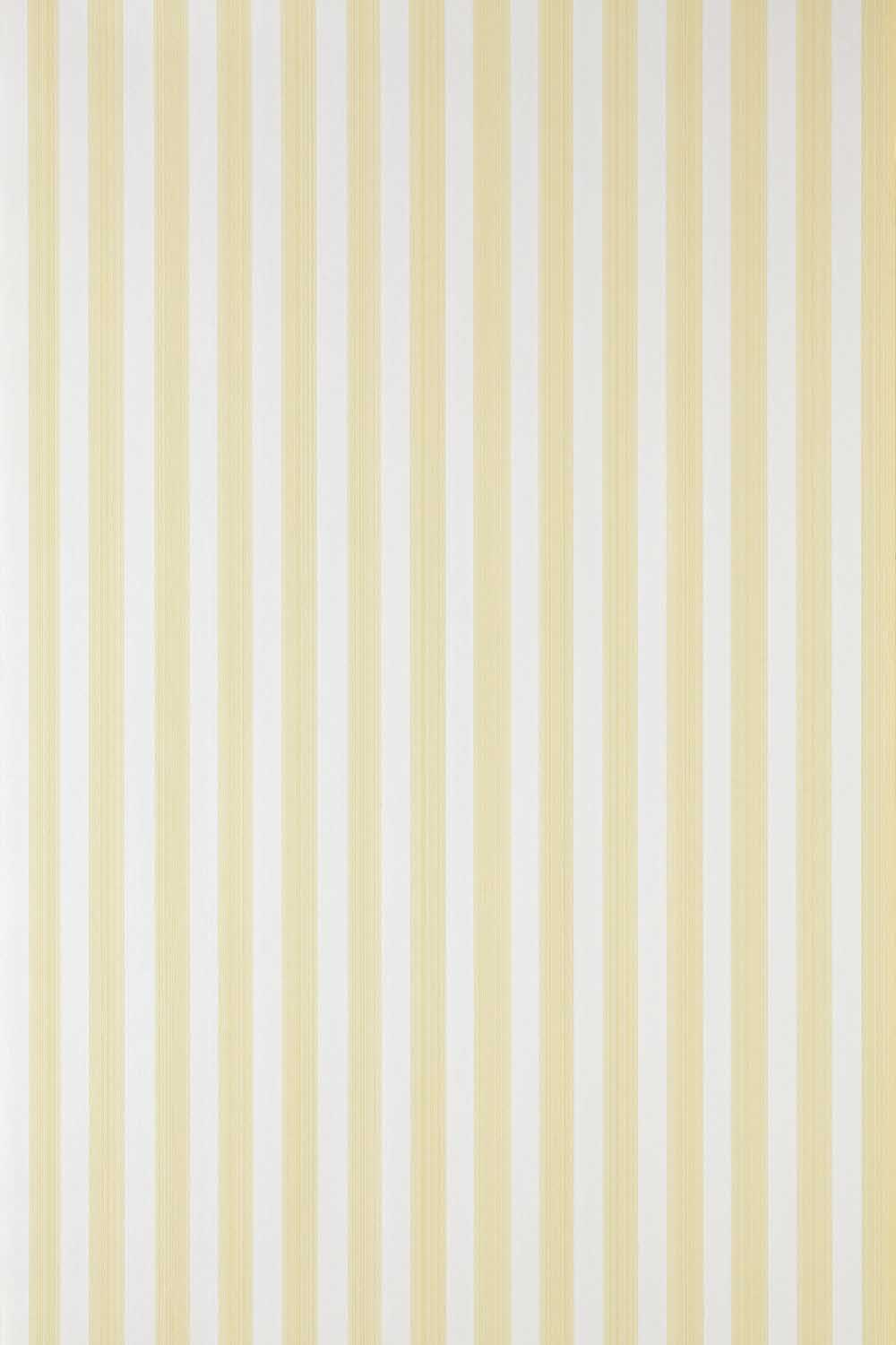 Behang Farrow & Ball Closet Stripe 356 1