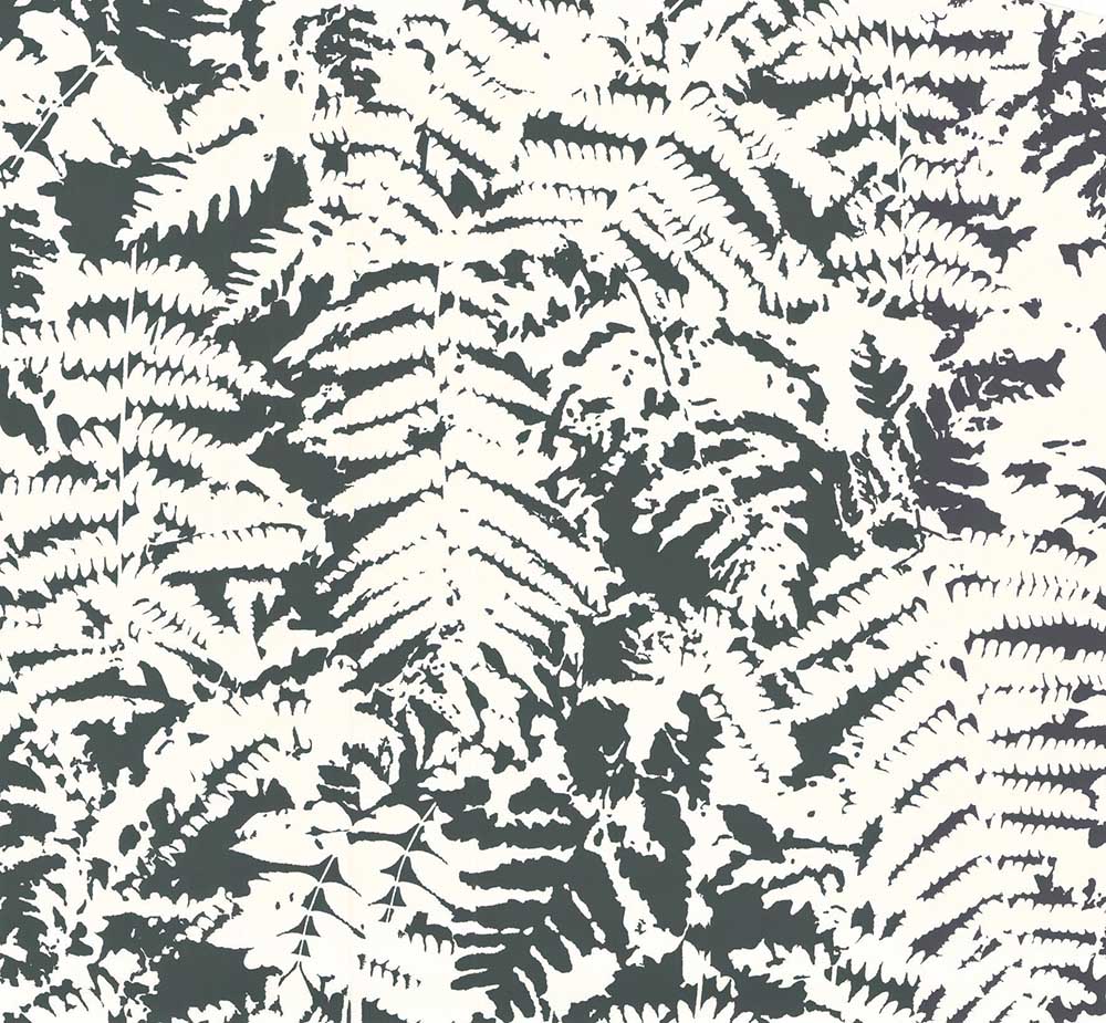 Behang Little Greene 20th Century Papers Fern 1960 Off Black 1