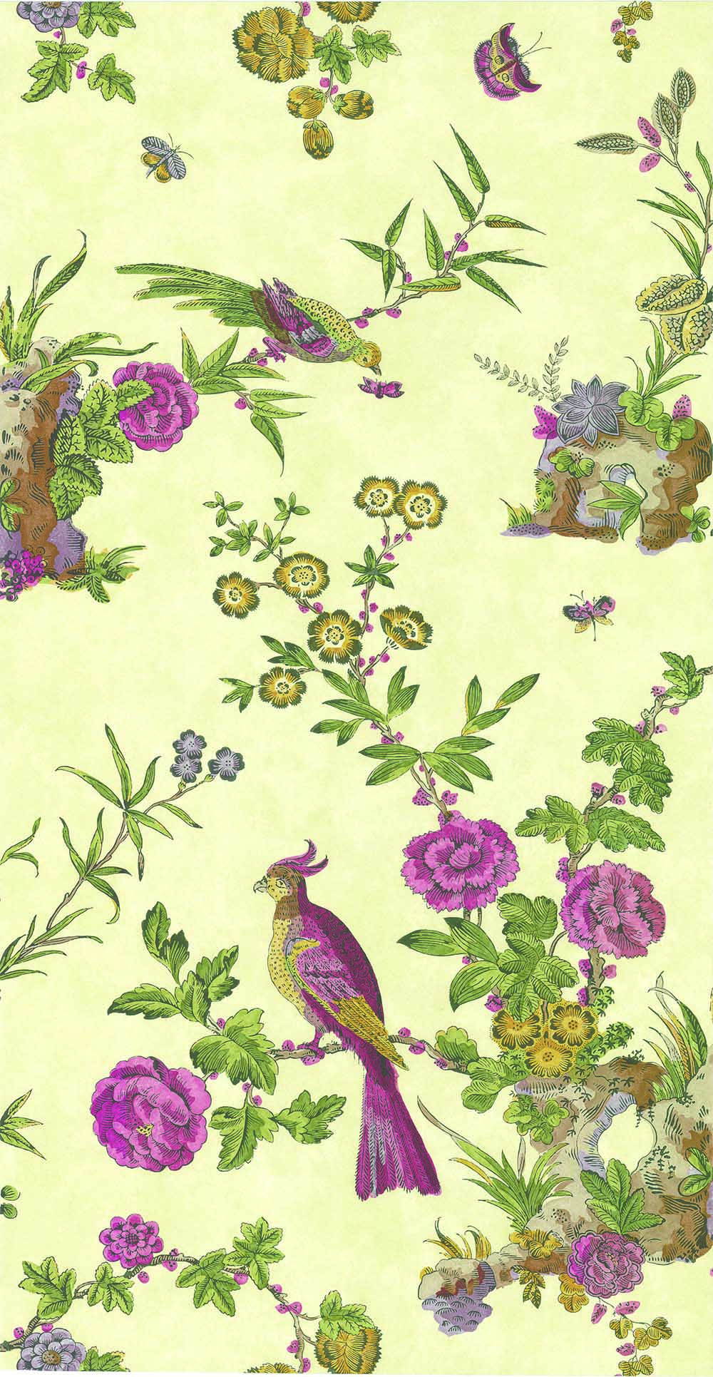 Behang Little Greene Archive Trails Darwin 1760 Jeune 1