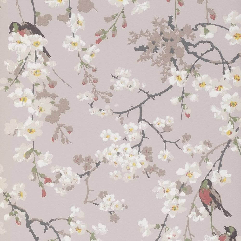 Behang Little Greene National Trust Papers II Massingberd Blossom Grey 1