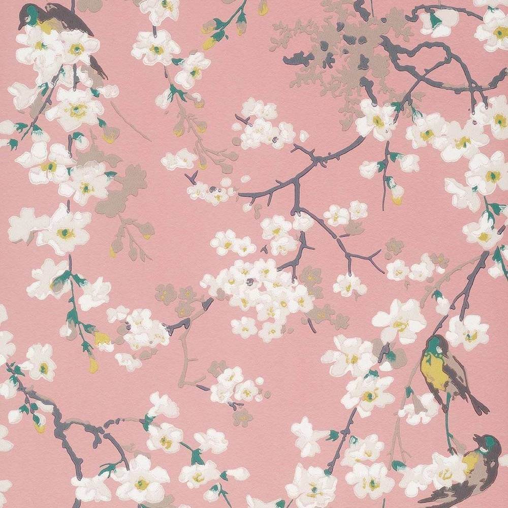 Behang Little Greene National Trust Papers II Massingberd Blossom Oriental 1