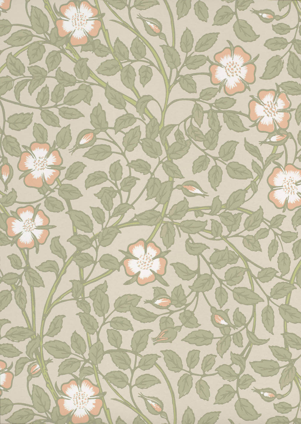 Behang Little Greene National Trust Papers III Briar Rose Green Mist 1