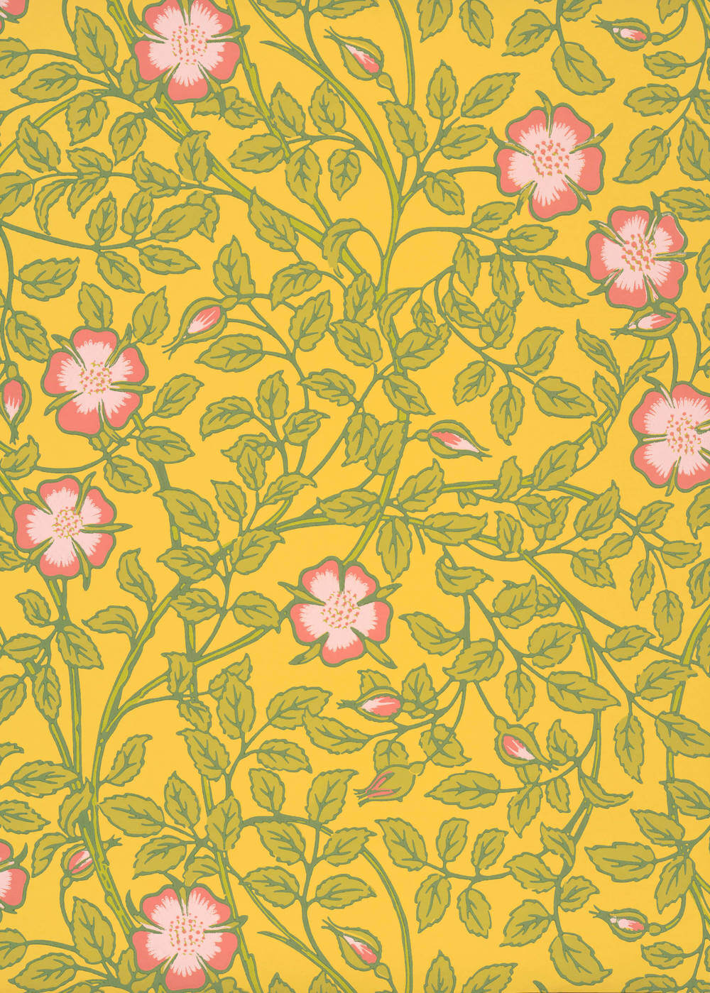 Behang Little Greene National Trust Papers III Briar Rose Indian Yellow 1