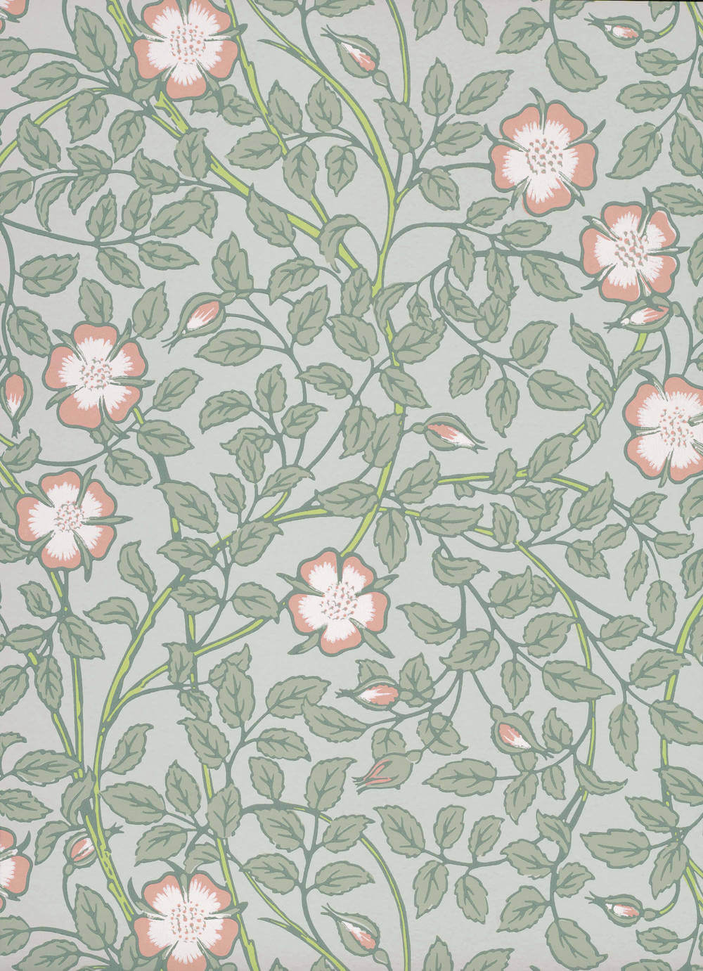 Behang Little Greene National Trust Papers III Briar Rose Salix 1