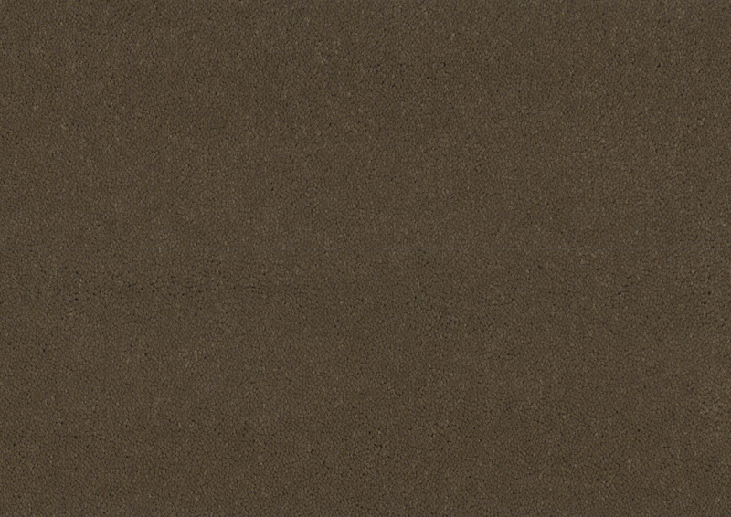 Tapijt Bonaparte Montana Taupe 449 1