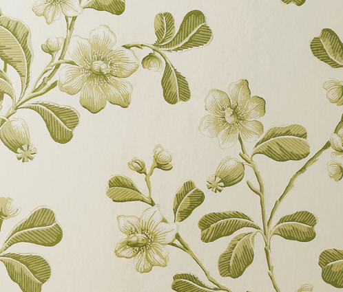 Little Greene London Wallpapers Broadwick Street Garden (1) 1