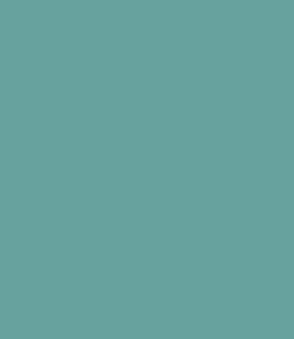 Carte Colori Menta CC117 1