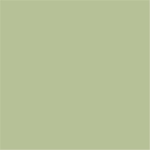 Krijtverf Farrow & Ball Proefpotje Cooking Apple Green&reg; (32) 1