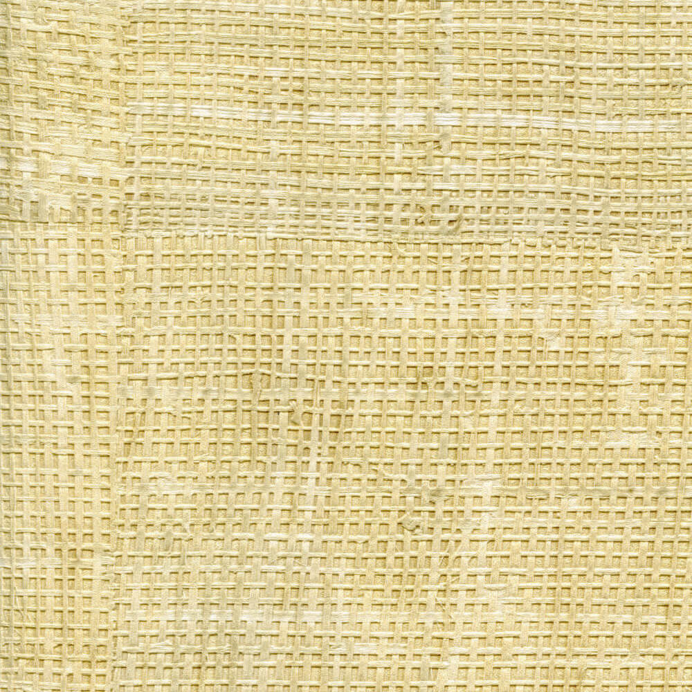 Élitis Raffia & Madagascar Raffia VP 601 90 Behang 1