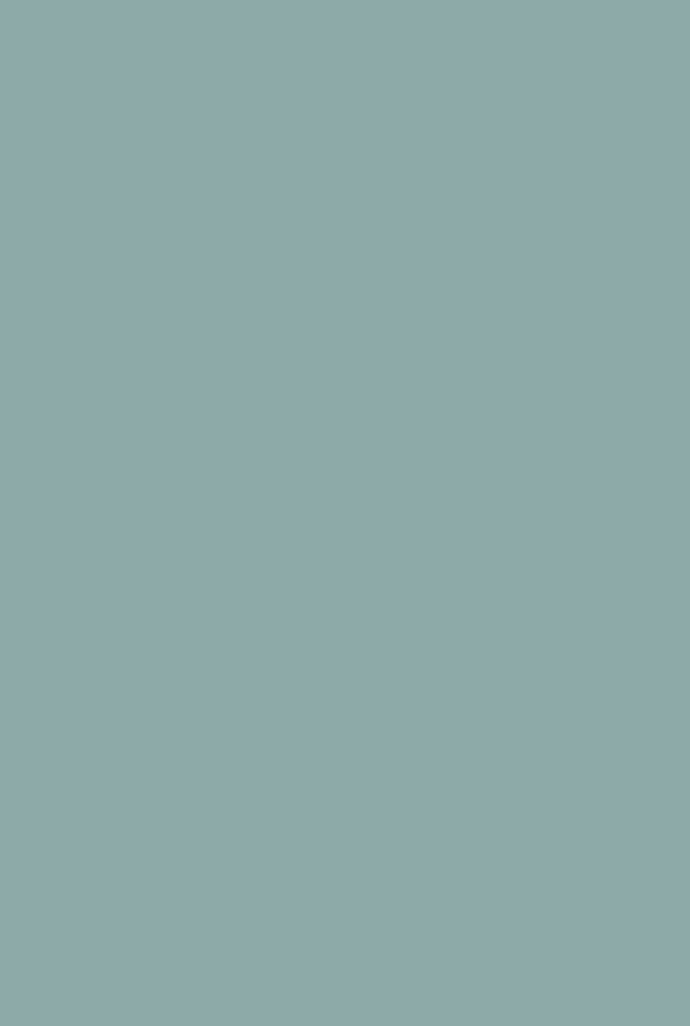 Farrow & Ball Ballroom Blue (24) - Archiefkleur 1