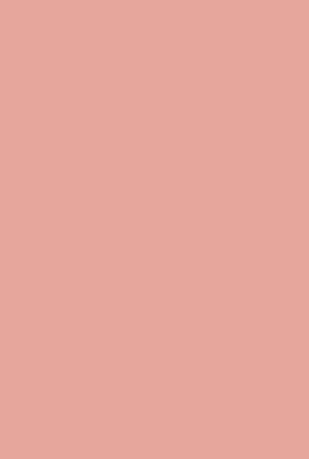 Farrow & Ball Blooth Pink (9806) - Archiefkleur 1