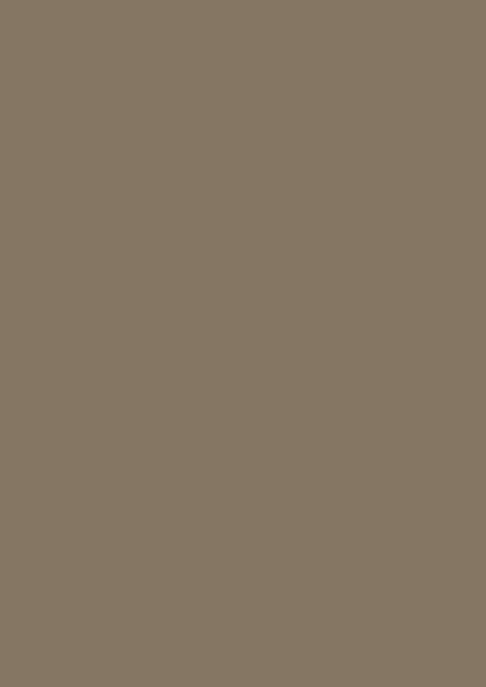 Krijtverf Farrow & Ball Modern Emulsion Broccoli Brown (W108) 1