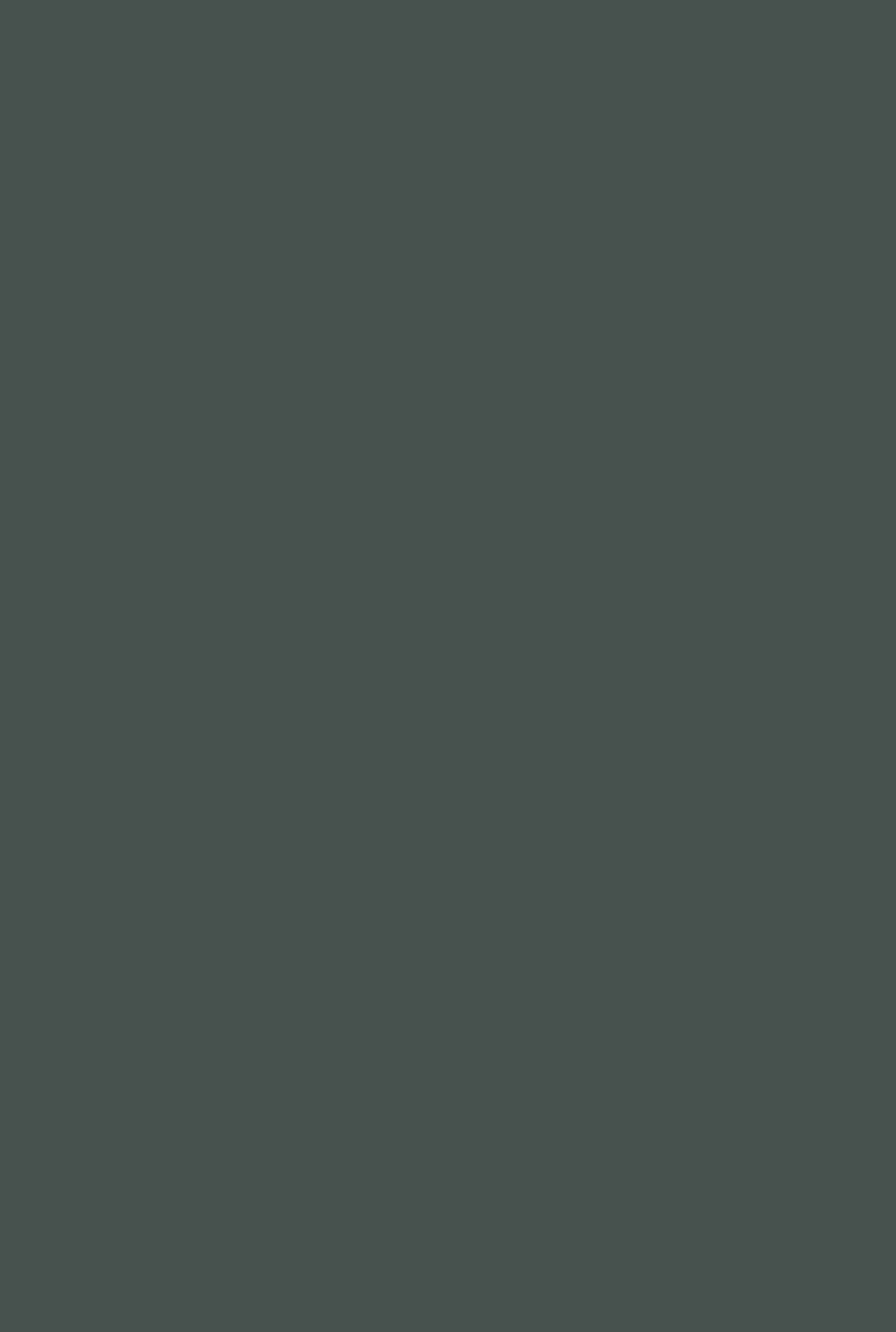 Farrow & Ball Chine Green (35) - Archiefkleur 1