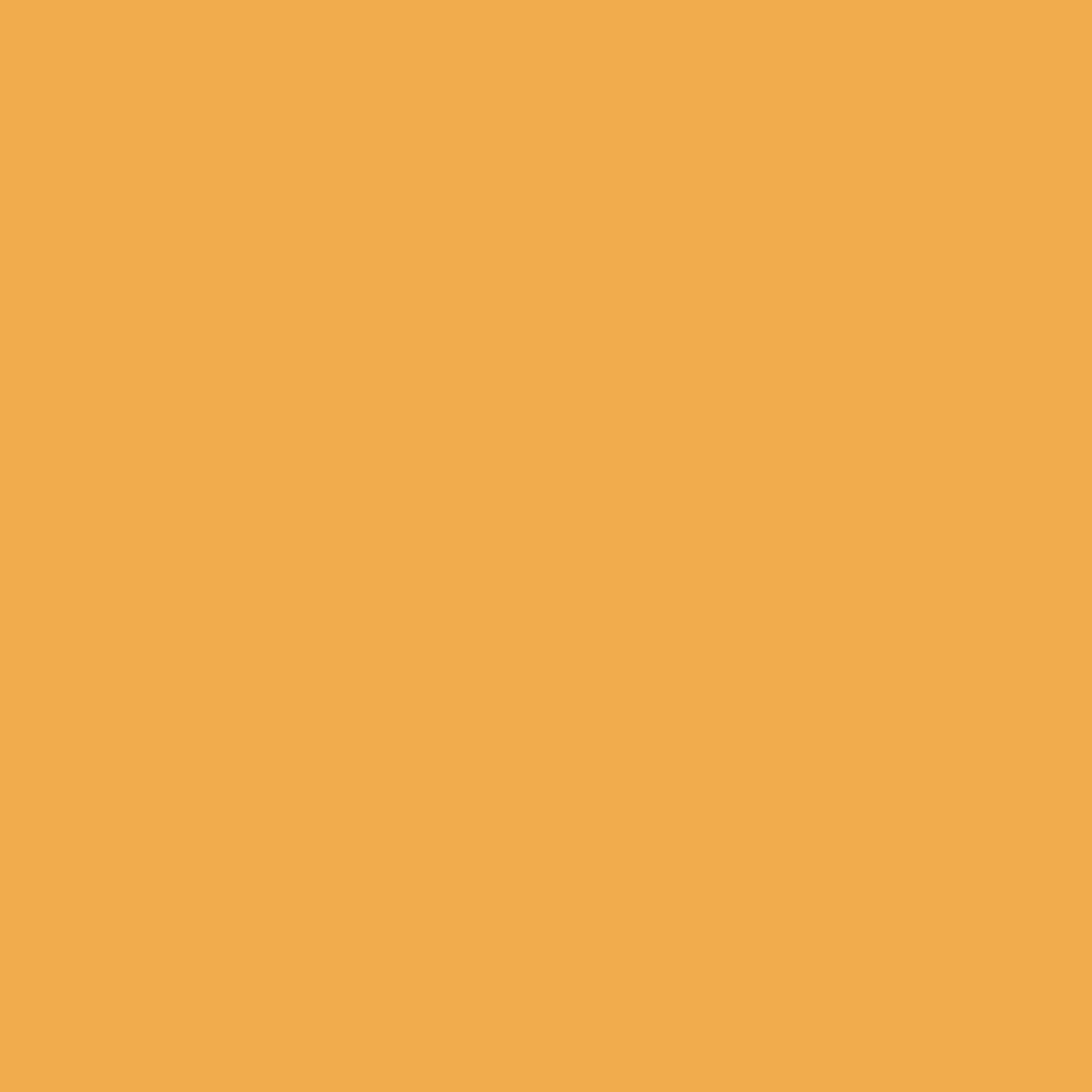 Krijtverf Farrow & Ball Estate Emulsion Dutch Orange (W76) 1