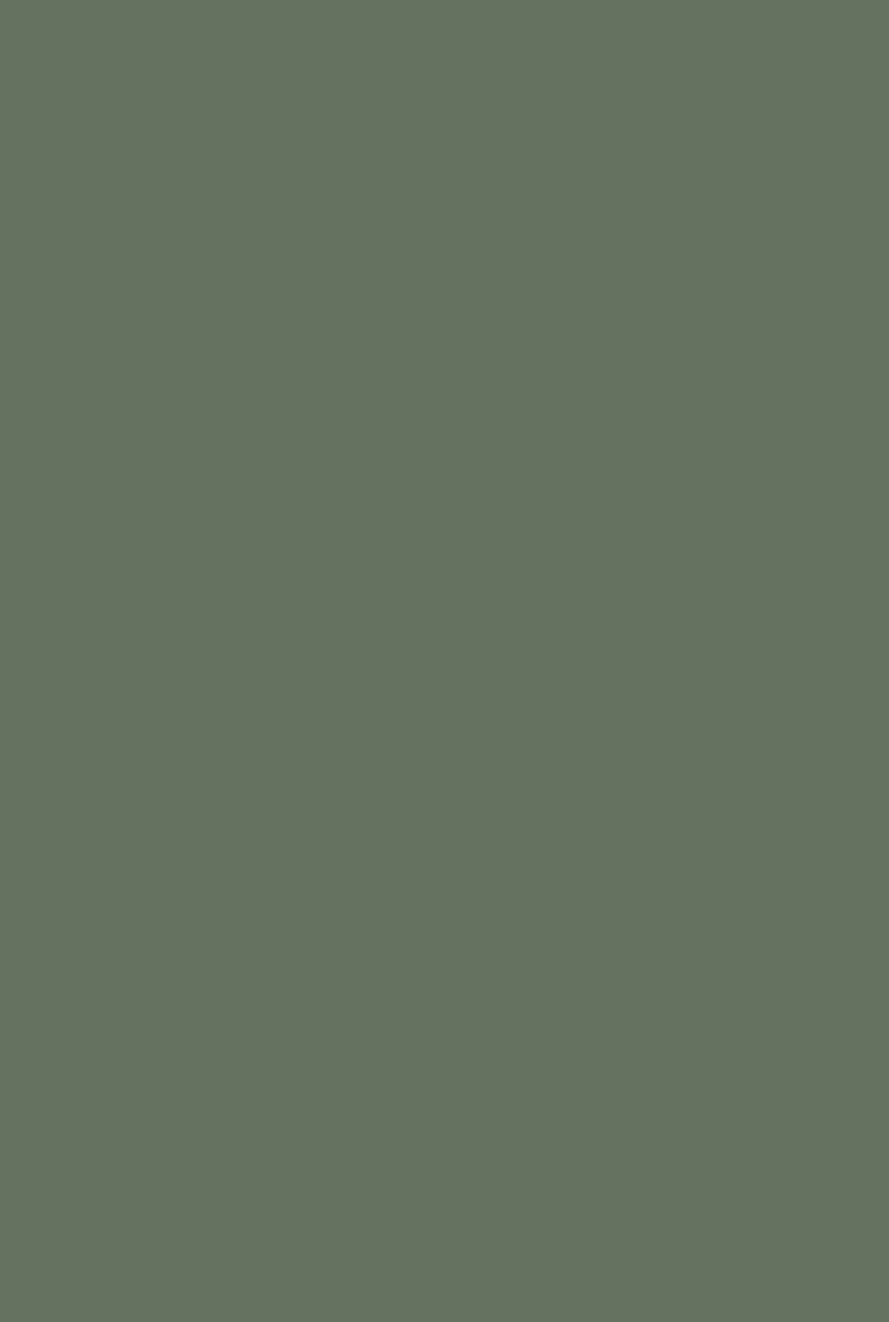 Farrow & Ball Dyrehaven (9819) - Archiefkleur 1