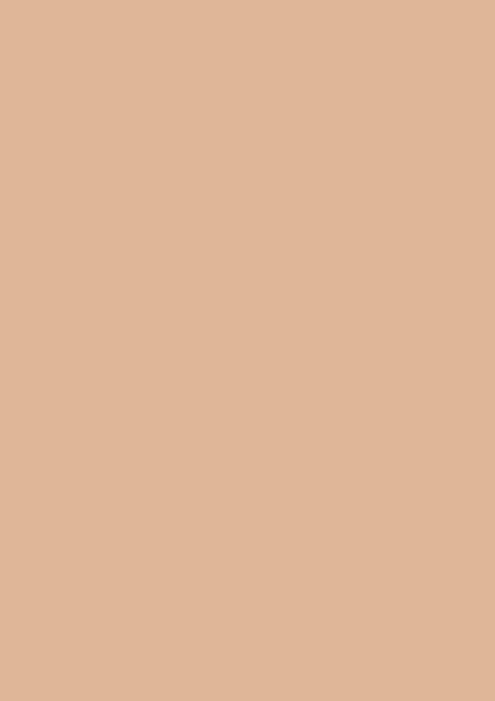 Farrow & Ball Faded Terracotta (CC8) - Archiefkleur 1