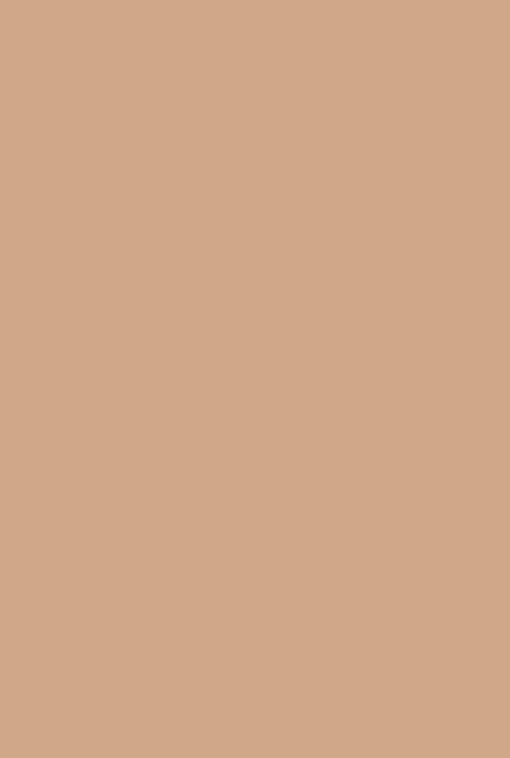 Farrow & Ball Fake Tan (9912) - Archiefkleur 1