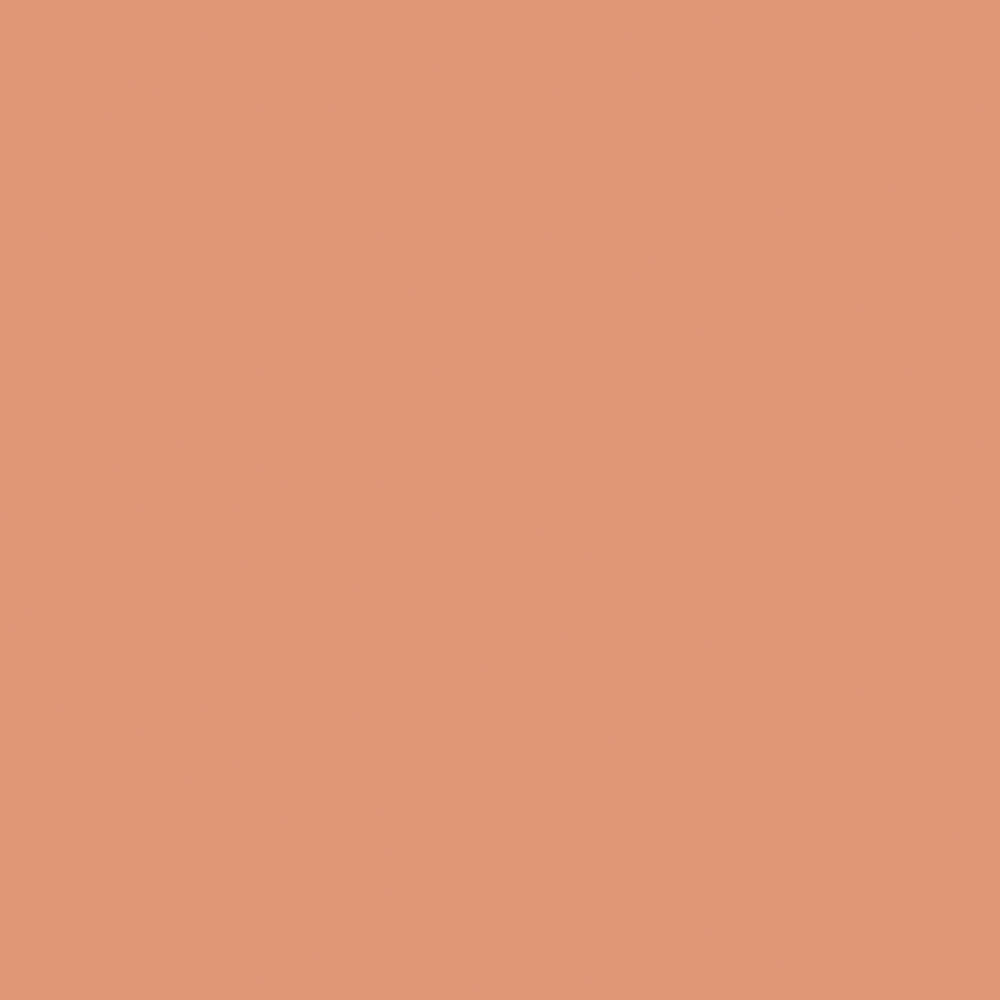 Farrow & Ball Ointment Pink (21) - Archiefkleur 1