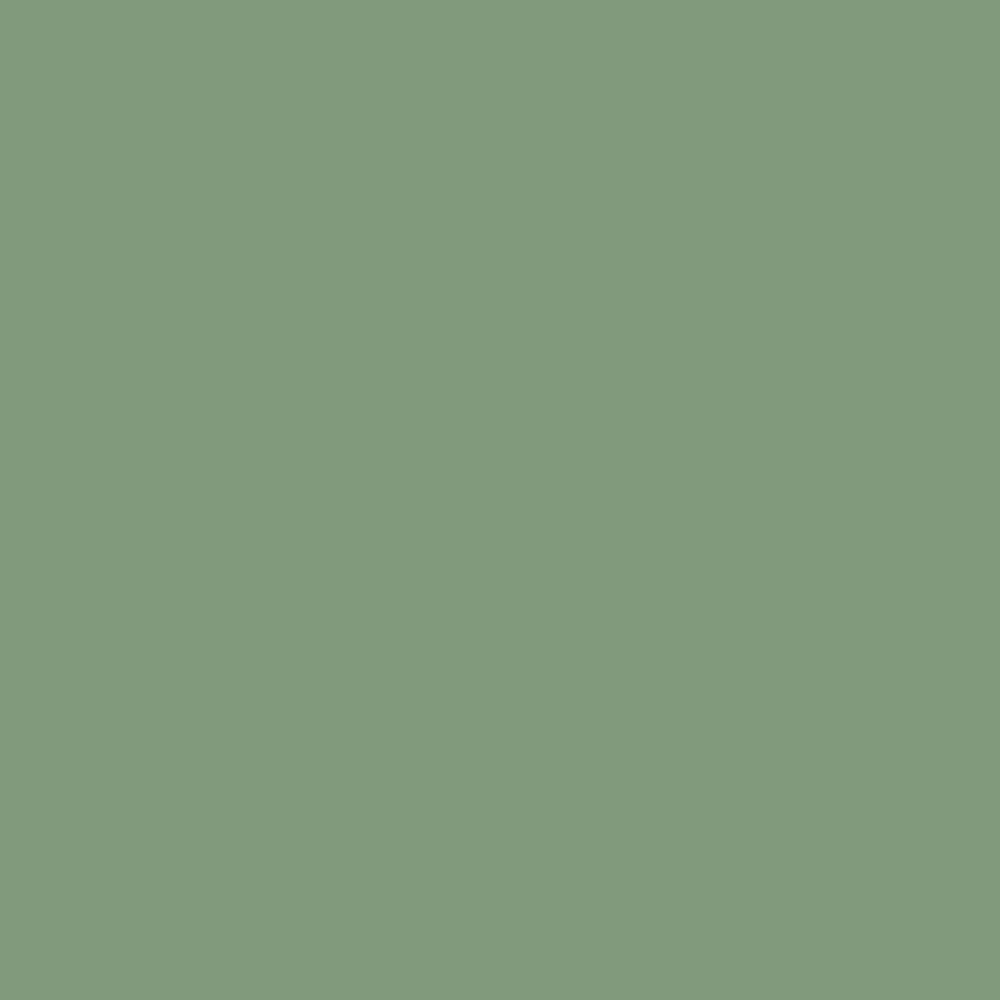 Farrow & Ball Pea Green (33) - Archiefkleur 1