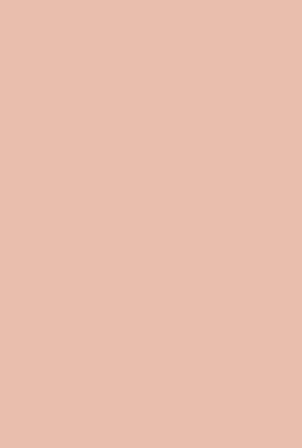 Farrow & Ball Pink Cup (9801) - Archiefkleur 1