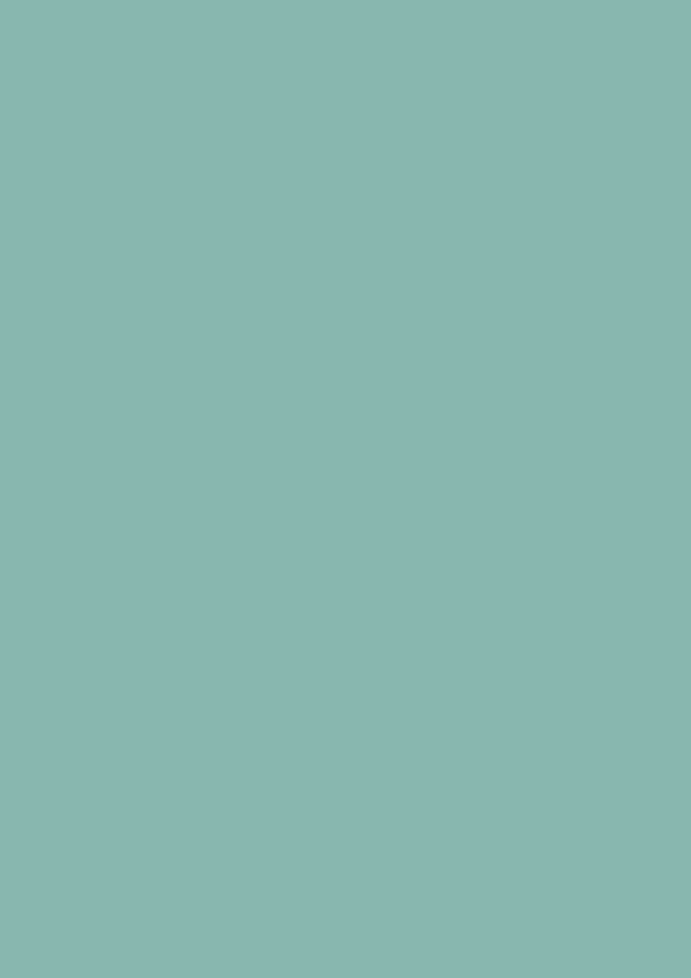 Farrow & Ball Sardine (CB8) 1