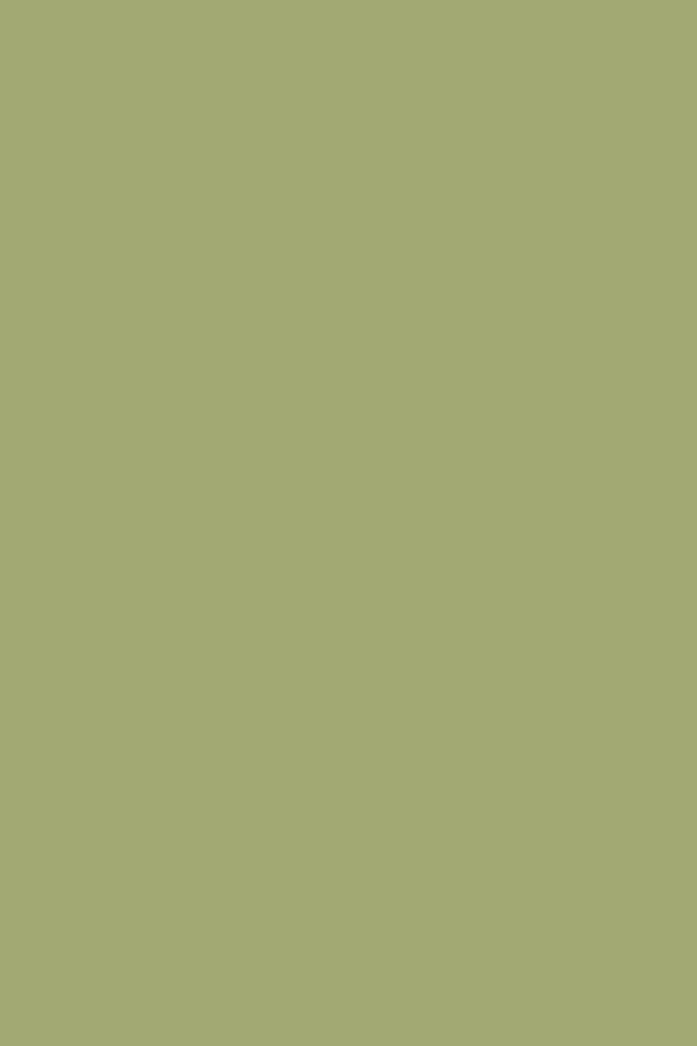 Farrow & Ball Saxon Green (80) - Archiefkleur 1