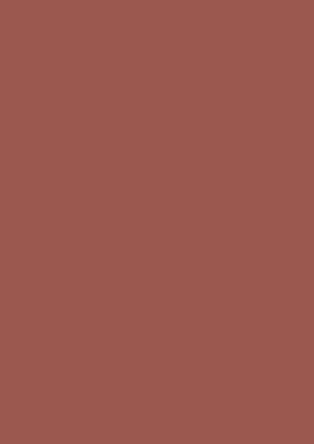 Farrow & Ball Singed Red (G15) - Archiefkleur 1