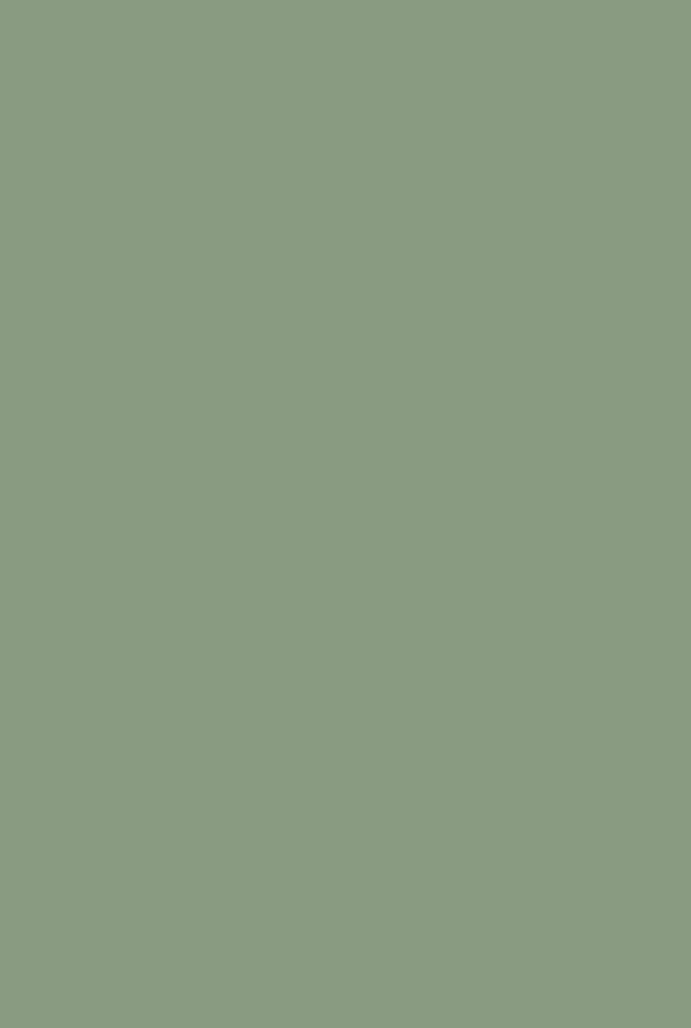 Farrow & Ball Suffield Green (77) - Archiefkleur 1