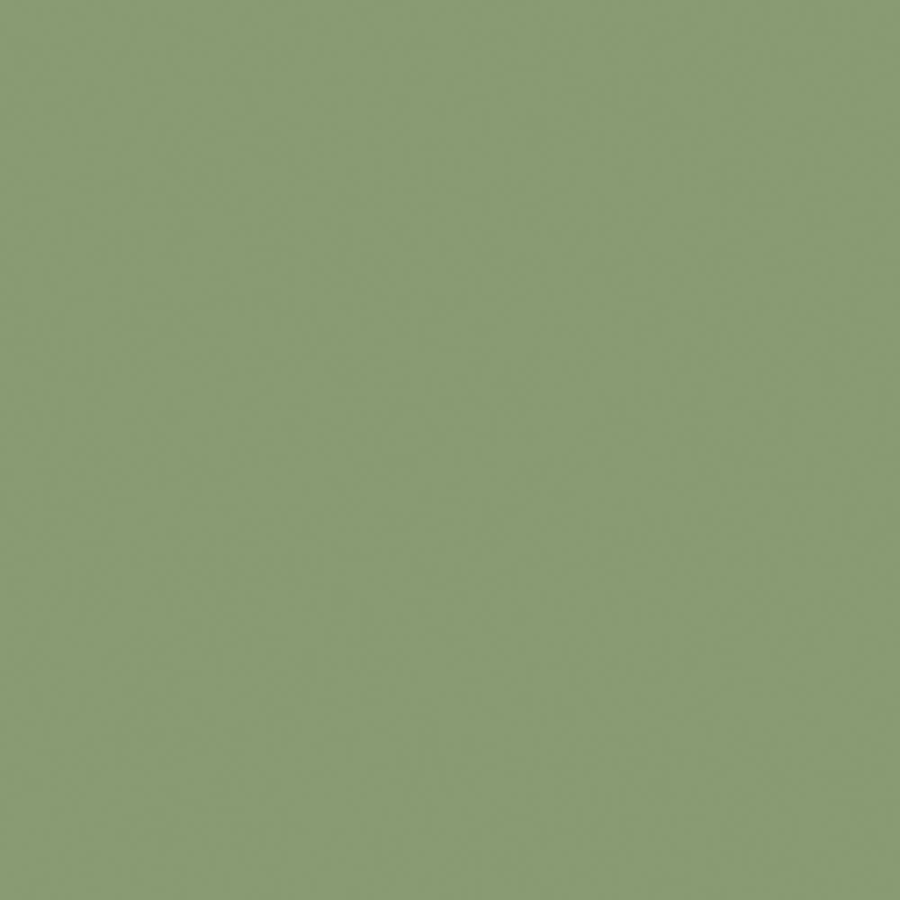 Farrow & Ball Yeabridge Green (287) 1