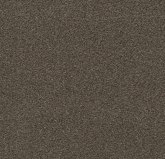 Forbo Coral Bright | 2604 Virgin Sand | Taupe droog- en schoonloopmat | standaardmaat | 8,5 mm 2