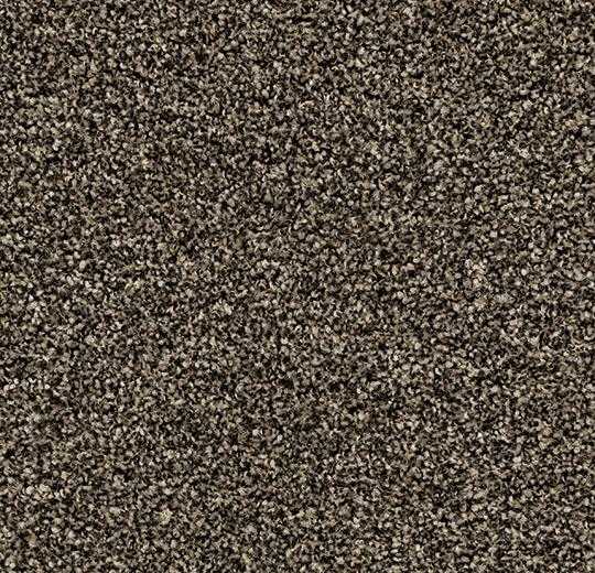 Forbo Coral Bright | 2604 Virgin Sand | Taupe droog- en schoonloopmat | Op maat gesneden | 8,5 mm 1