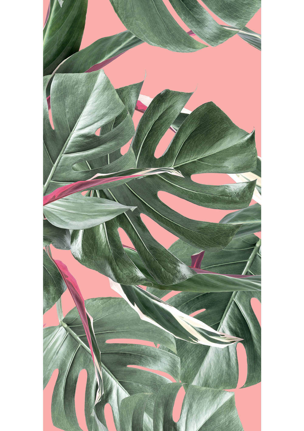 KEK Amsterdam Bold Botanics WP-581 Monstera Behang 1