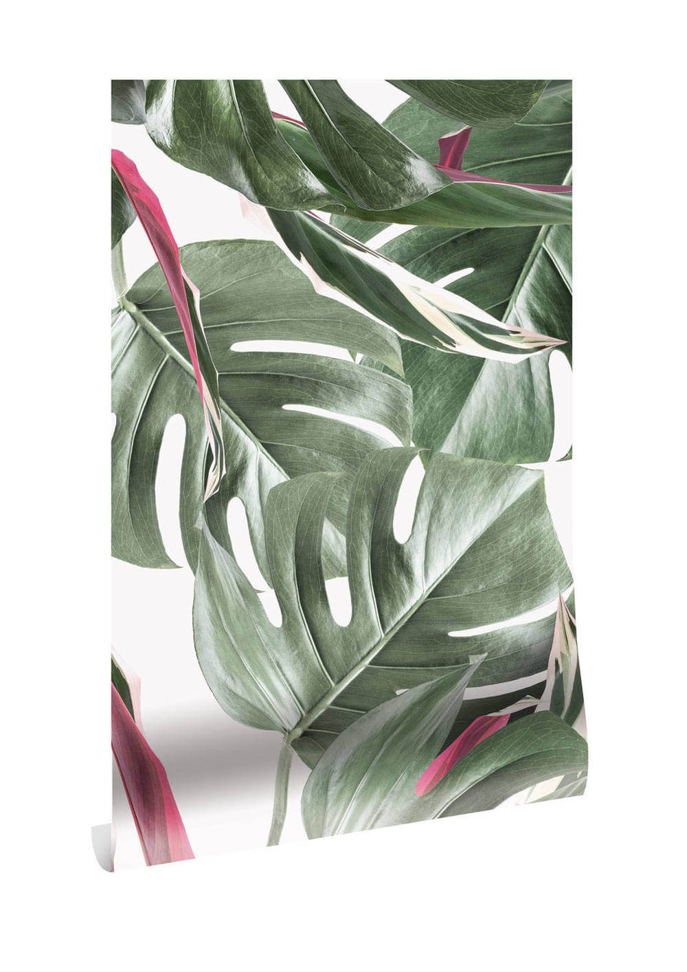 KEK Amsterdam Bold Botanics WP-582 Monstera Behang 1