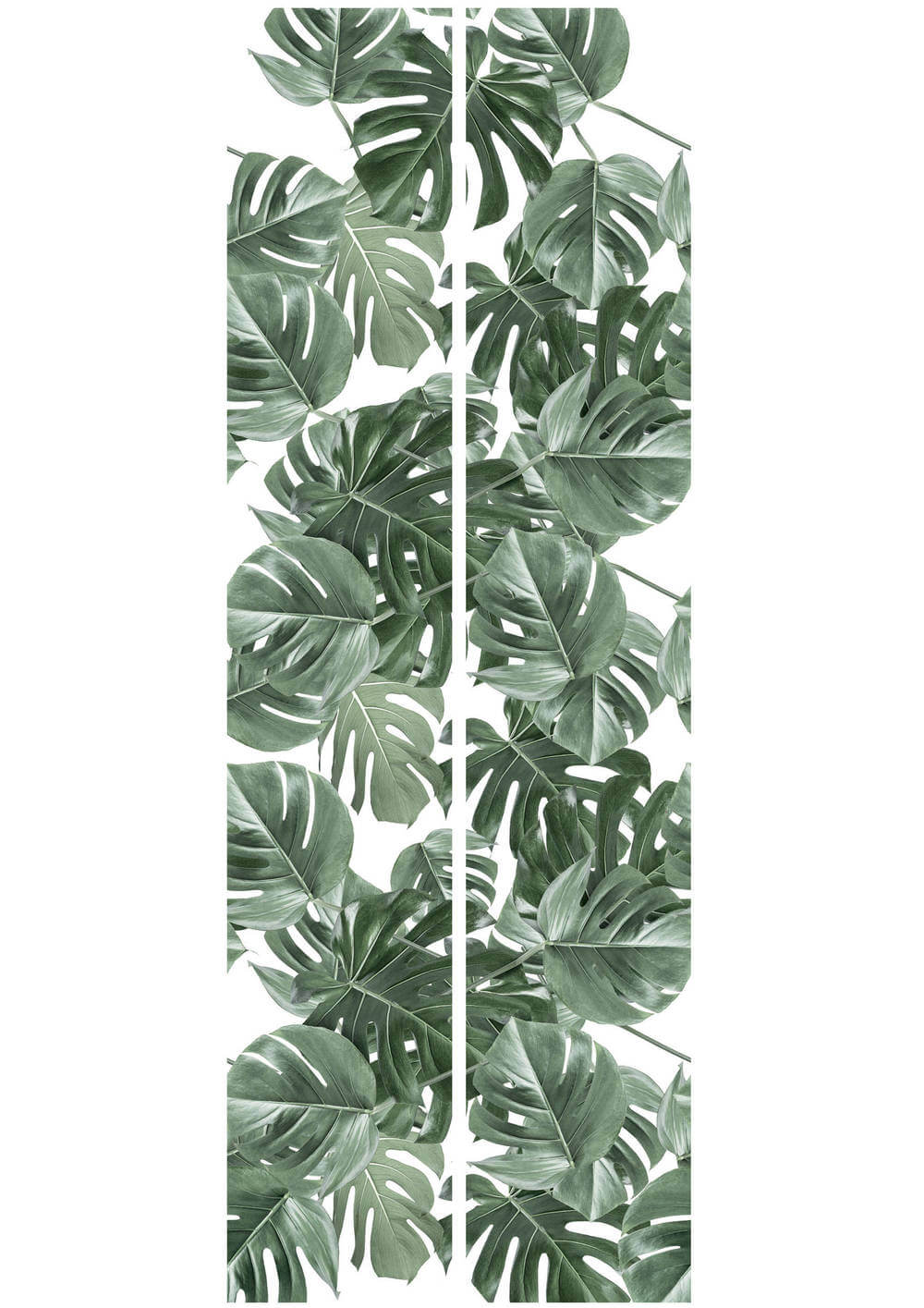 KEK Amsterdam Bold Botanics WP-584 Monstera Behang 3