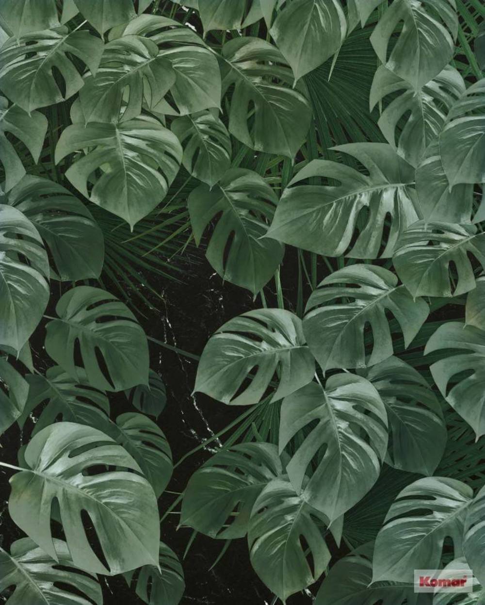 Komar Pure Monstera on Marble P035-VD2 Behang 1