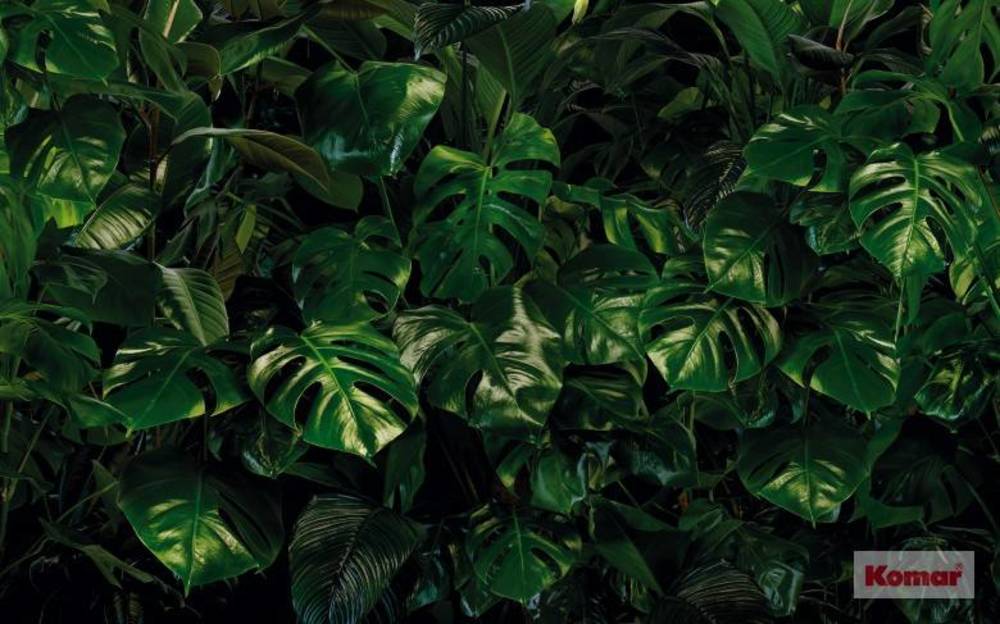 Komar Pure Tropical Wall P333-VD4 Behang 1