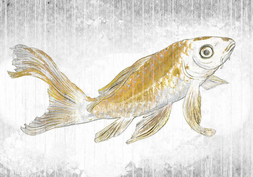 Komar Raw Golden Koi RSX8-049 Behang 1