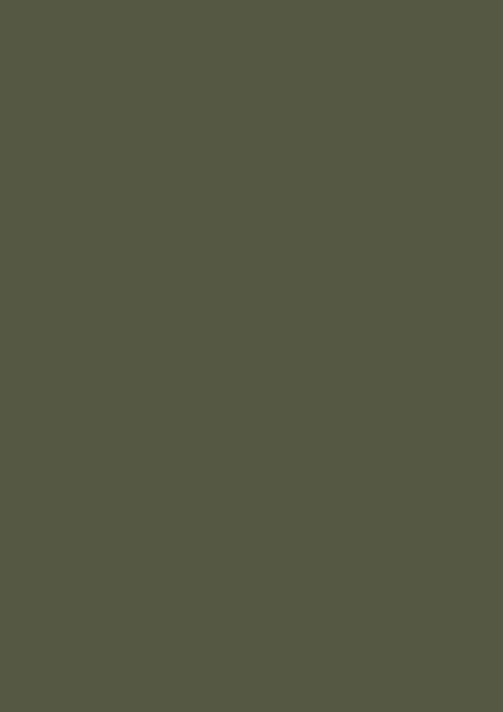 Verf Farrow & Ball Dead Flat Salon Drab (290) 1