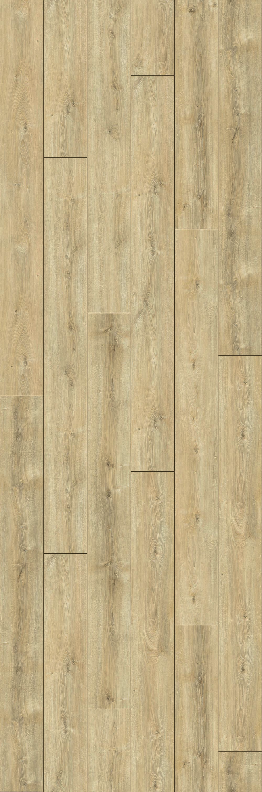 Laminaat Douwes Dekker DD Extra lange plank Komijn - L 220 cm x B 24,3 cm - 4V 2