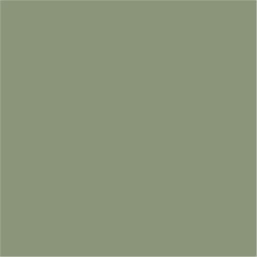 Verf Farrow & Ball Exterior Eggshell Lichen (19) 1