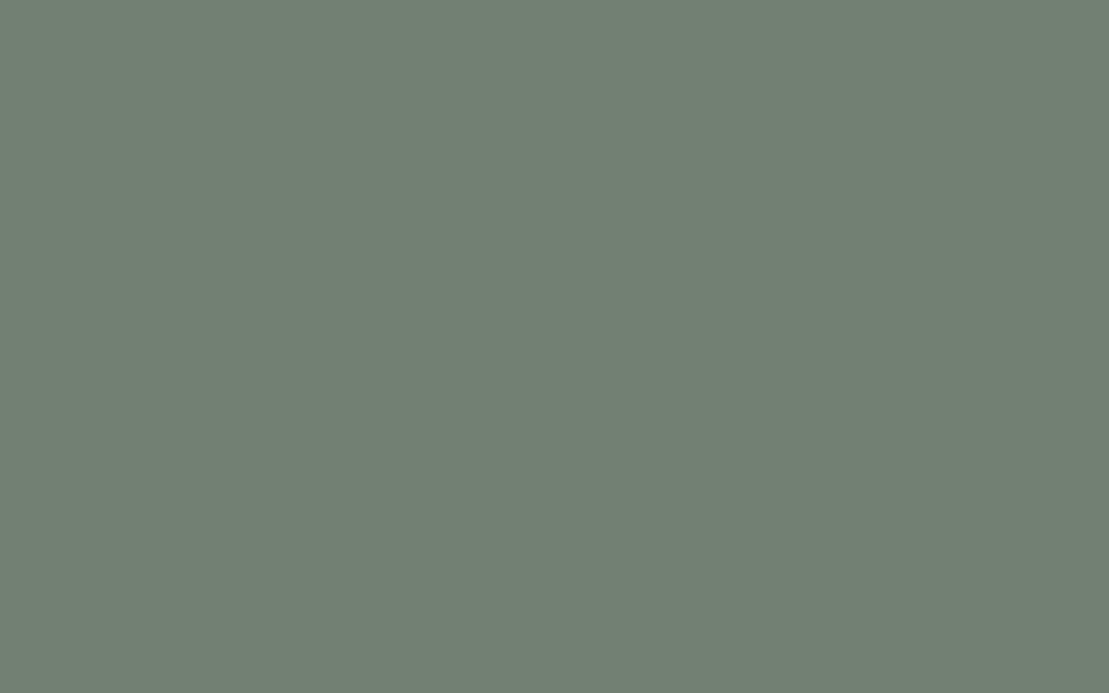 Little Greene Ambleside 304 1