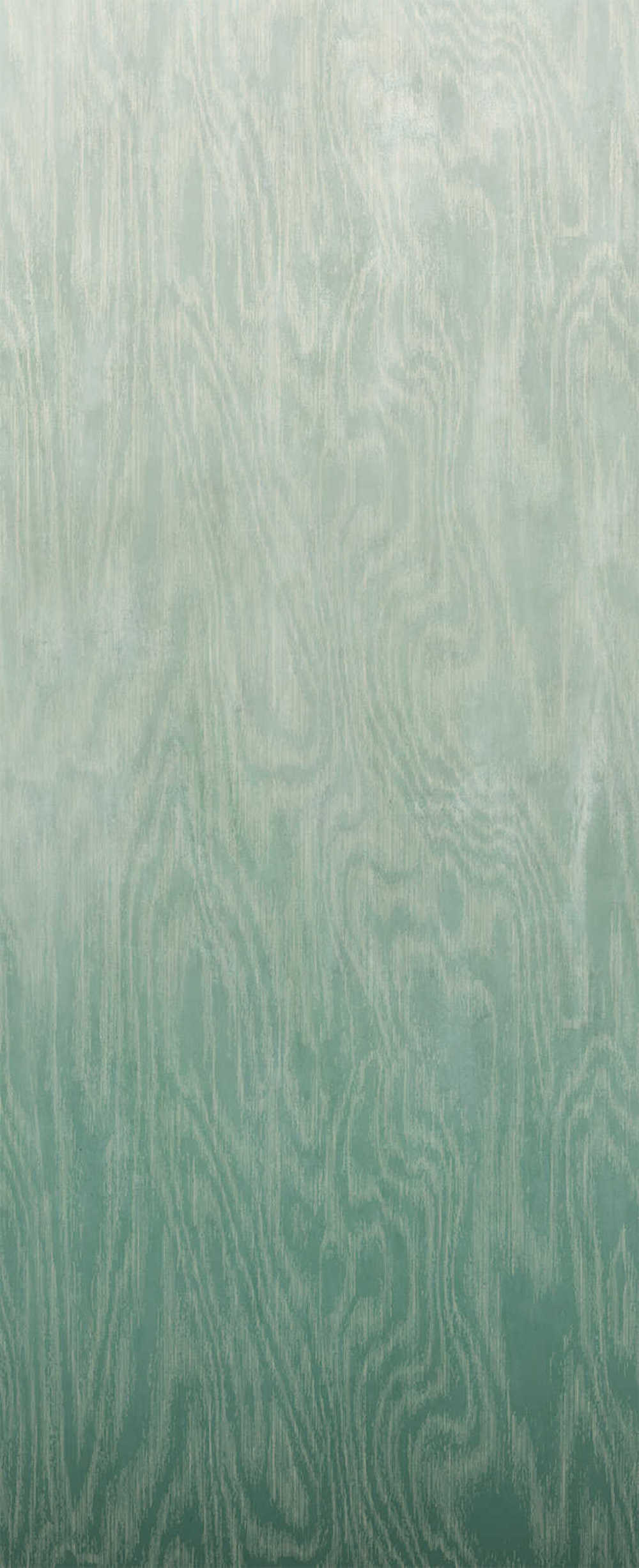 Masureel Wall Designs IV DG4MOI1021-260 Moire Green Behang 1