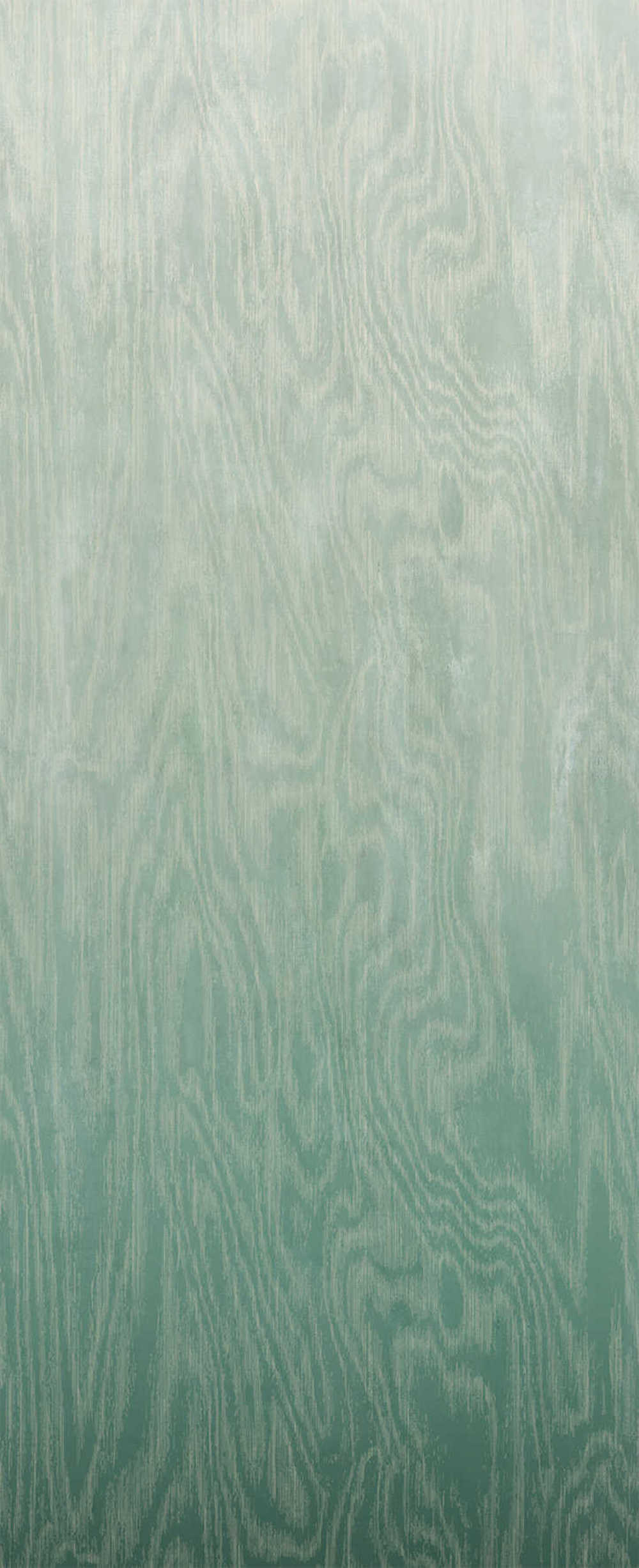 Masureel Wall Designs IV DG4MOI1022-260 Moire Green Behang 1