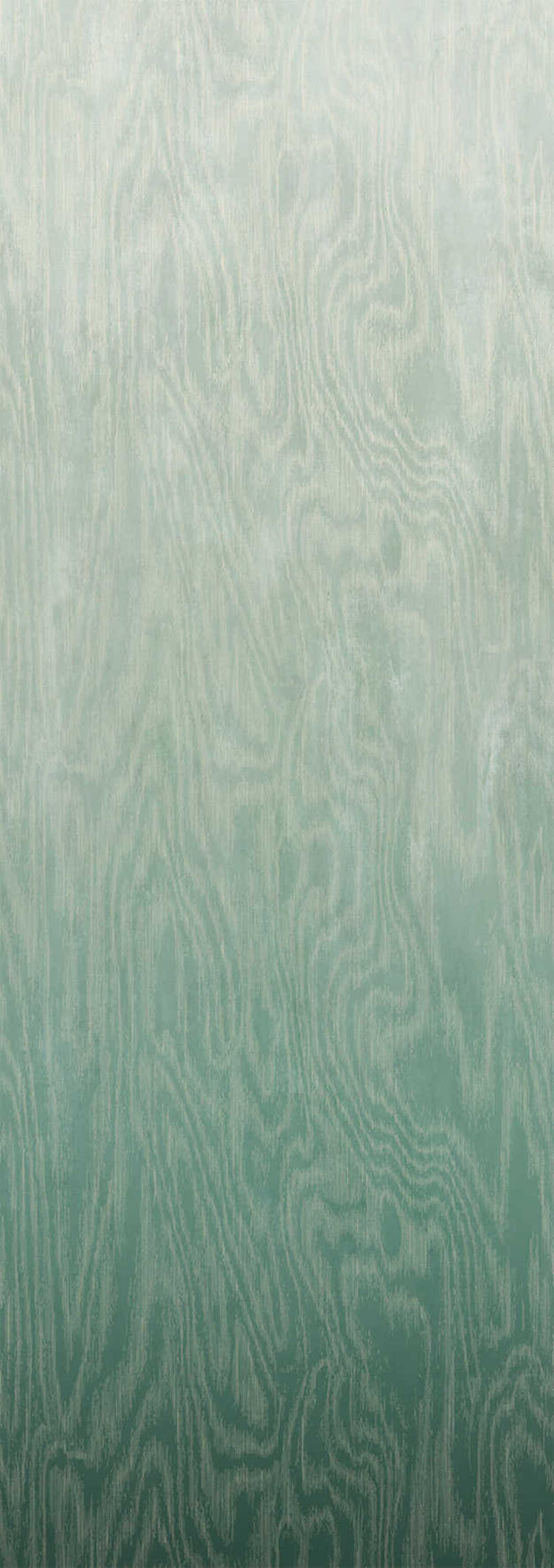 Masureel Wall Designs IV DG4MOI1022-300 Moire Green Behang 1