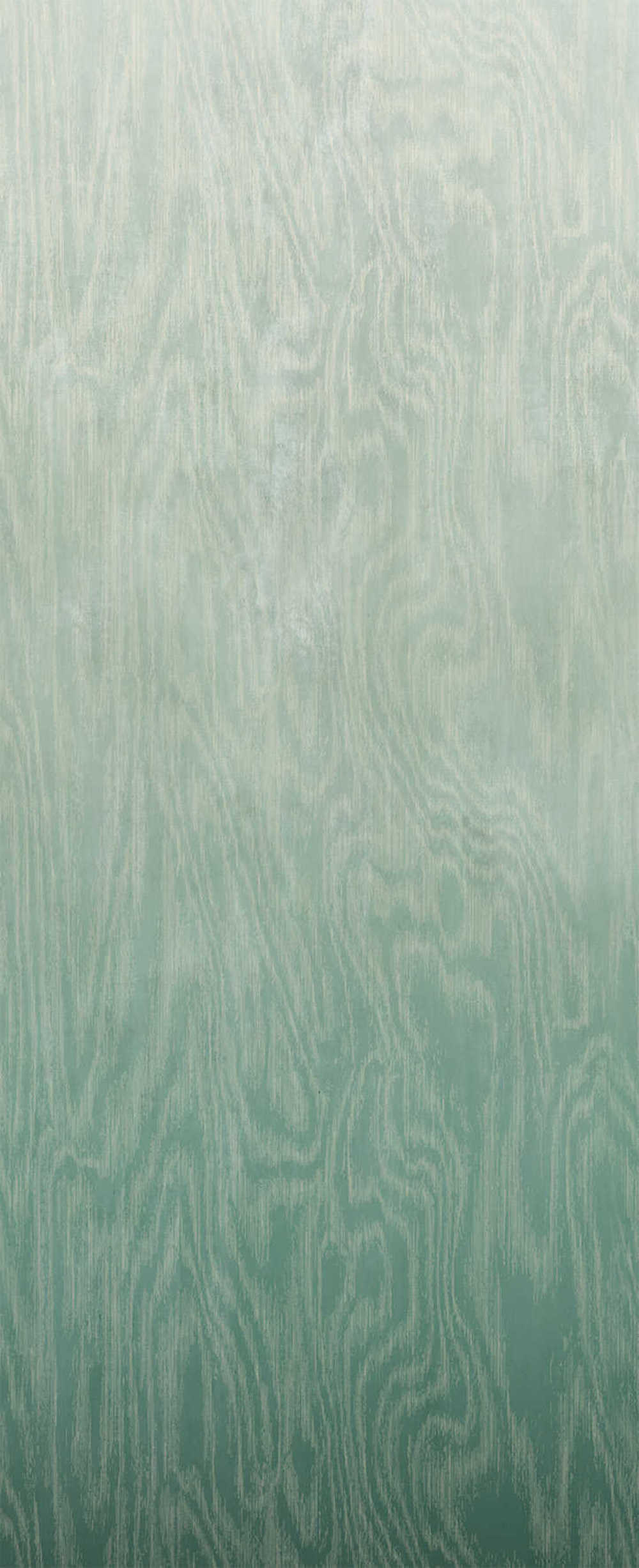 Masureel Wall Designs IV DG4MOI1023-260 Moire Green Behang 1