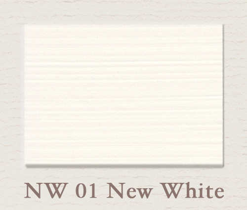 Painting the Past New White (NW01) 2