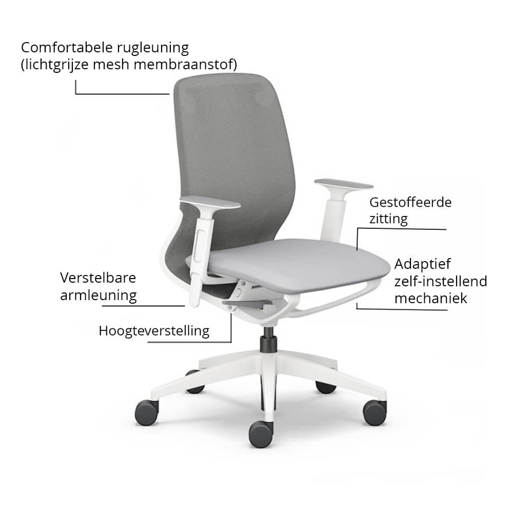 Sedus se:motion net | Ergonomische Bureaustoel | Wit (Lichtgrijs) 5